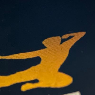 Tigr2S's profile picture. 