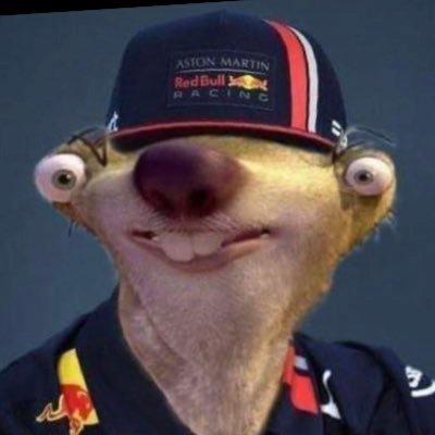 SidVerstappenRB Profile Picture