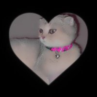 Mrs. Özkal👸🏻 (@civvcivcim) 's Twitter Profile Photo Mrs. Özkal👸🏻 (@civvcivcim) 's Twitter Profile Photo