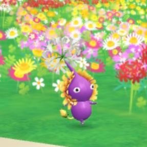 lilychic_'s profile picture. 