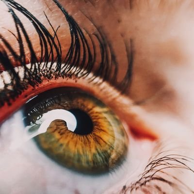 Educating and empowering you about all things related to eye health. 👓