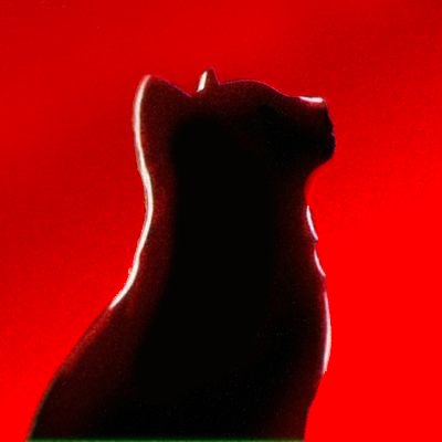 sobadventure's profile picture. I share YouTube insights. Follow to get views.