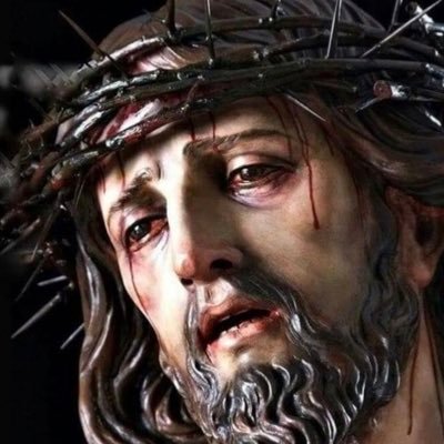 BlasRodri1349's profile picture. 