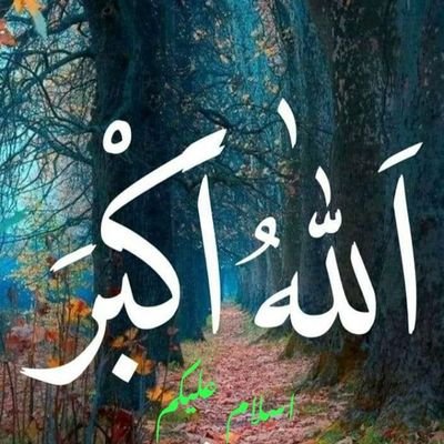 اِیَّاکَ نَعۡبُدُ وَ اِیَّاکَ نَسۡتَعِیۡنُ ؕ
Before Imran Khan, I was Blind🕸