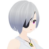 するめ みか🦑🌙 (@devmkzk_v) 's Twitter Profile