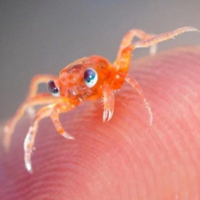 liberty4alaska's profile picture. Concerned citizen of the world, looking after all creatures great and small. All species matter. #StopAlaskaTrawling