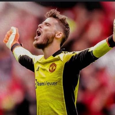 mufclink's profile picture. Manchester United. fan account. David de goat. gk. football