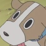 oguricap (@oguricap_24) 's Twitter Profile Photo
