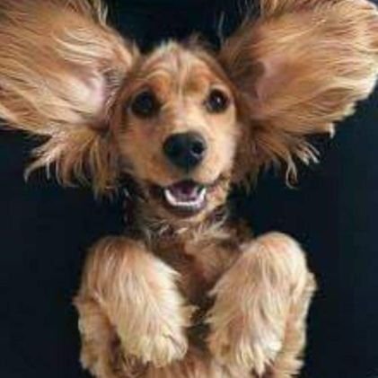 Jacek70746668's profile picture. Opinie własne. Czasem poważnie, czasem nie.
Czasem: racconto satirico😉
#PociągPrawych