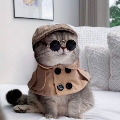 rllze_love's profile picture. 엉망진창 인생