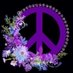 Sandra Rose (@gypsywildrose1) Twitter profile photo Sandra Rose (@gypsywildrose1) Twitter profile photo
