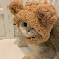 🌸Alkaid🌙🌙 (@chine36409310) Twitter profile photo