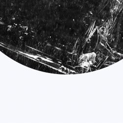 C5231481651369's profile picture. 