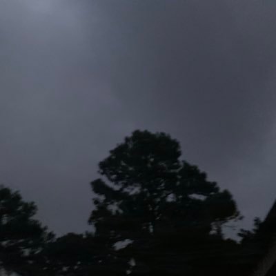 sun18moon19's profile picture. 