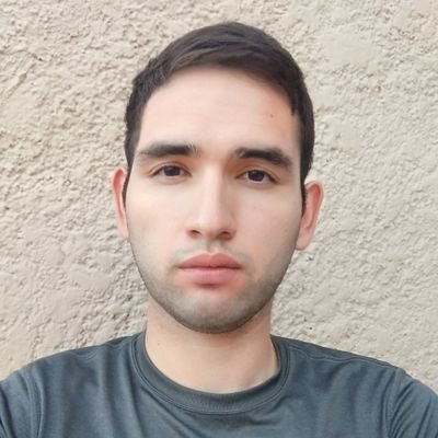 Curious by nature, introvert by election. Currently learning programming stuff just for fun.