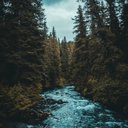 Amber McDowell - @123letsgobench - Twitter