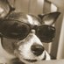Martin (@martin88222777) Twitter profile photo Martin (@martin88222777) Twitter profile photo