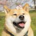 SweetGem (@sweetgem72) Twitter profile photo SweetGem (@sweetgem72) Twitter profile photo
