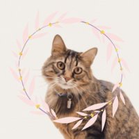 anna 固ツイあり (@coco00316) 's Twitter Profile