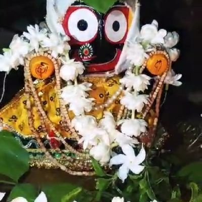 Ajaykum93438484's profile picture. 