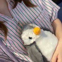 jibjib (@studywwans) 's Twitter Profile
