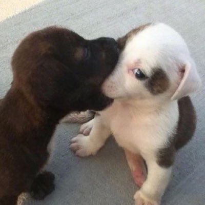 divein2yourluv's profile picture. 