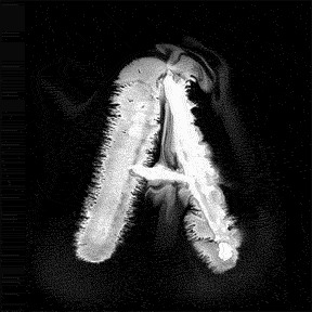 DefineArt's profile picture. What is art?

Tweet your definition with #DefineArt!