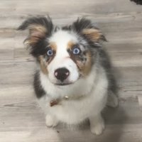 Mason (@mrboost914) 's Twitter Profile