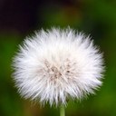 deb payne - @wiggliejigglee - Twitter