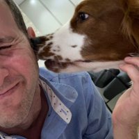 מולי יער (@forestahead) 's Twitter Profile