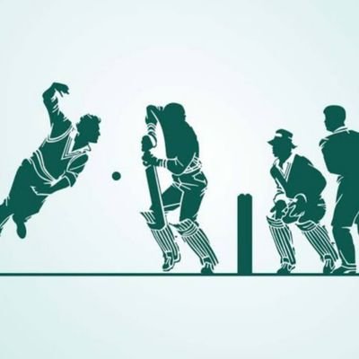 Mycricket12's profile picture. Cricketer