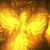 gohavywupif Profile Picture