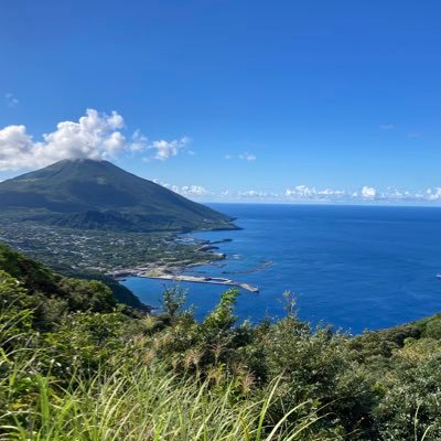 shibasen48's profile picture. 魚飽きた