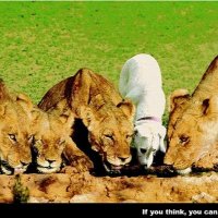 तांगेवाला बीजापुर का (@aaj1953) 's Twitter Profile Photo तांगेवाला बीजापुर का (@aaj1953) 's Twitter Profile Photo