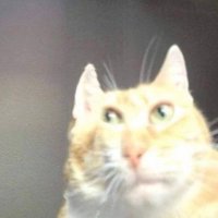 bibiboboba (@bibiboboba9) 's Twitter Profile Photo bibiboboba (@bibiboboba9) 's Twitter Profile Photo