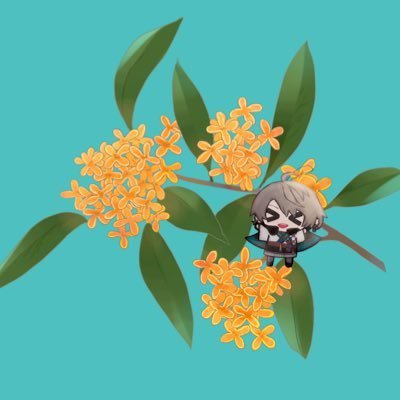 のぷさんのプロフィール画像