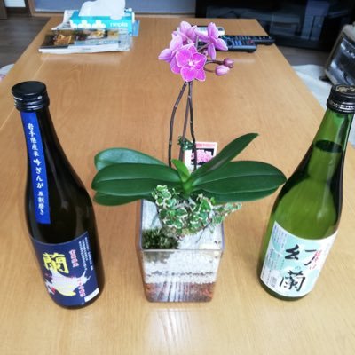 旅と釣り､そしてほろ酔いになれるお酒が好き！映画やドラマを見て､涙腺が弛くなつてきたと感じる今日この頃です。老若男女気になる方をフォローしています！