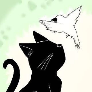 白鳥黒猫