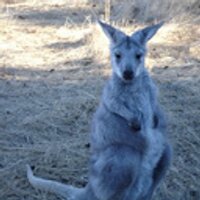 Marc Howard (@marchoward) 's Twitter Profile