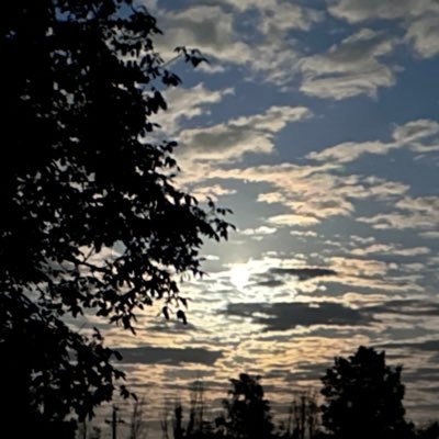 _English_info's profile picture. 