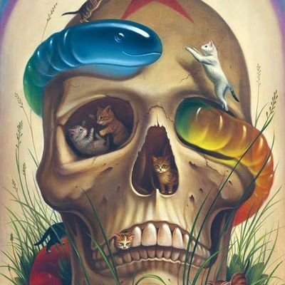 JACQUAR_GOD_MC's profile picture. https://t.co/QGitsebowe