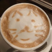 たくみ@谷中保護猫カフェスタッフ(@taku_yadorigi) 's Twitter Profile Photo