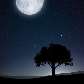 legendman95's profile picture. ⚙️@FocusOnVaissel#GetFitWithCoral https://t.co/7m7eILICMD🛸#Metatime##MintSquare##PiraFinance|NFTFeed for life