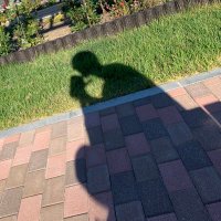 もあい (@00s_tokai_boy) 's Twitter Profile
