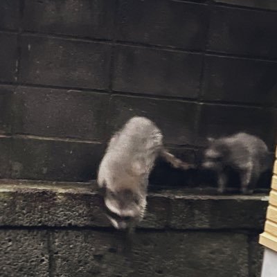 あんさんのプロフィール画像