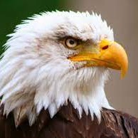 stayAnon100's profile picture.