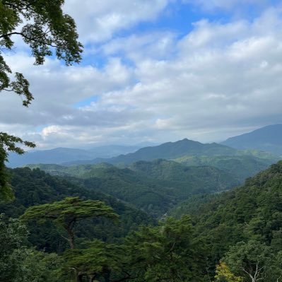 credokuru's profile picture. ぶーーーーーん。