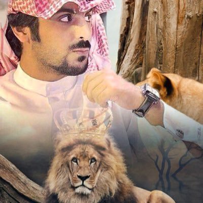 لكل من دخل حسابي محبااومتربصااو اناقدأأوحتى شاتما✋شكرألتواجدك فمن بعضكم نستمدالقوة ومن بعضكم نستمدالصبروالحكمه 🌷👍🌷