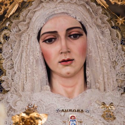 RosaBarbanchode's profile picture. 