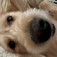 Claudia Morgan s (@loki1_logan) 's Twitter Profile